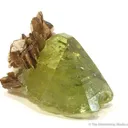 Brazilianite With Muscovite - image 1
