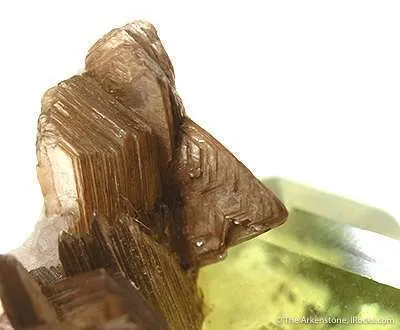 Brazilianite With Muscovite - image 4