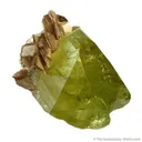 Brazilianite With Muscovite - image 3