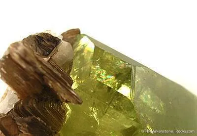 Brazilianite With Muscovite - image 5