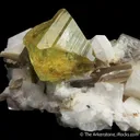 Brazilianite with Muscovite on Albite (circa 1950) - image 1