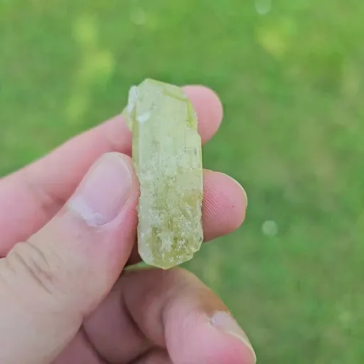 specimen video