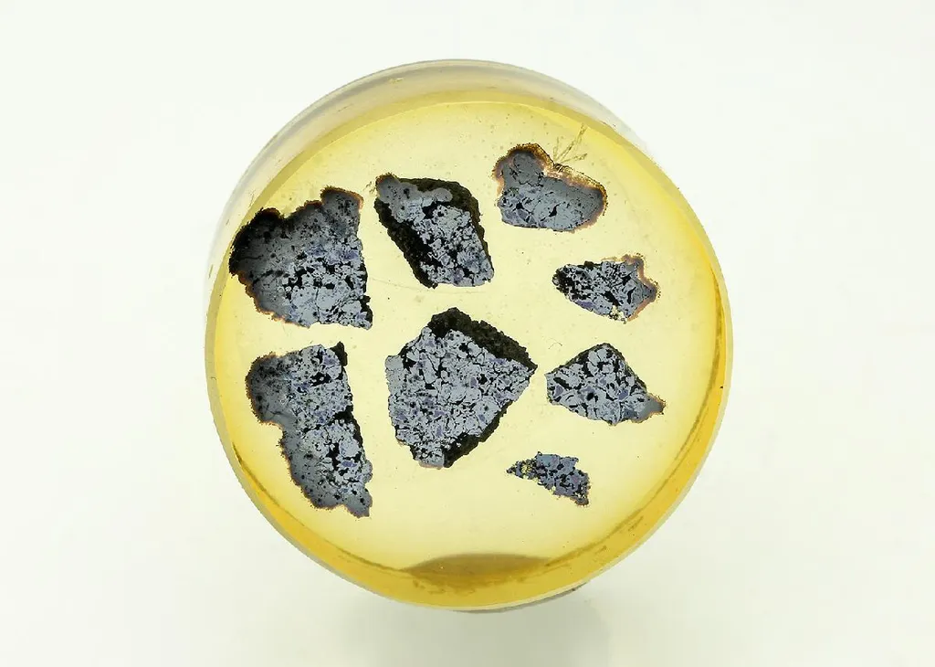 BRIARTITE with CATAMARCAITE, THALCUSITE Bornite (Polished Section) image