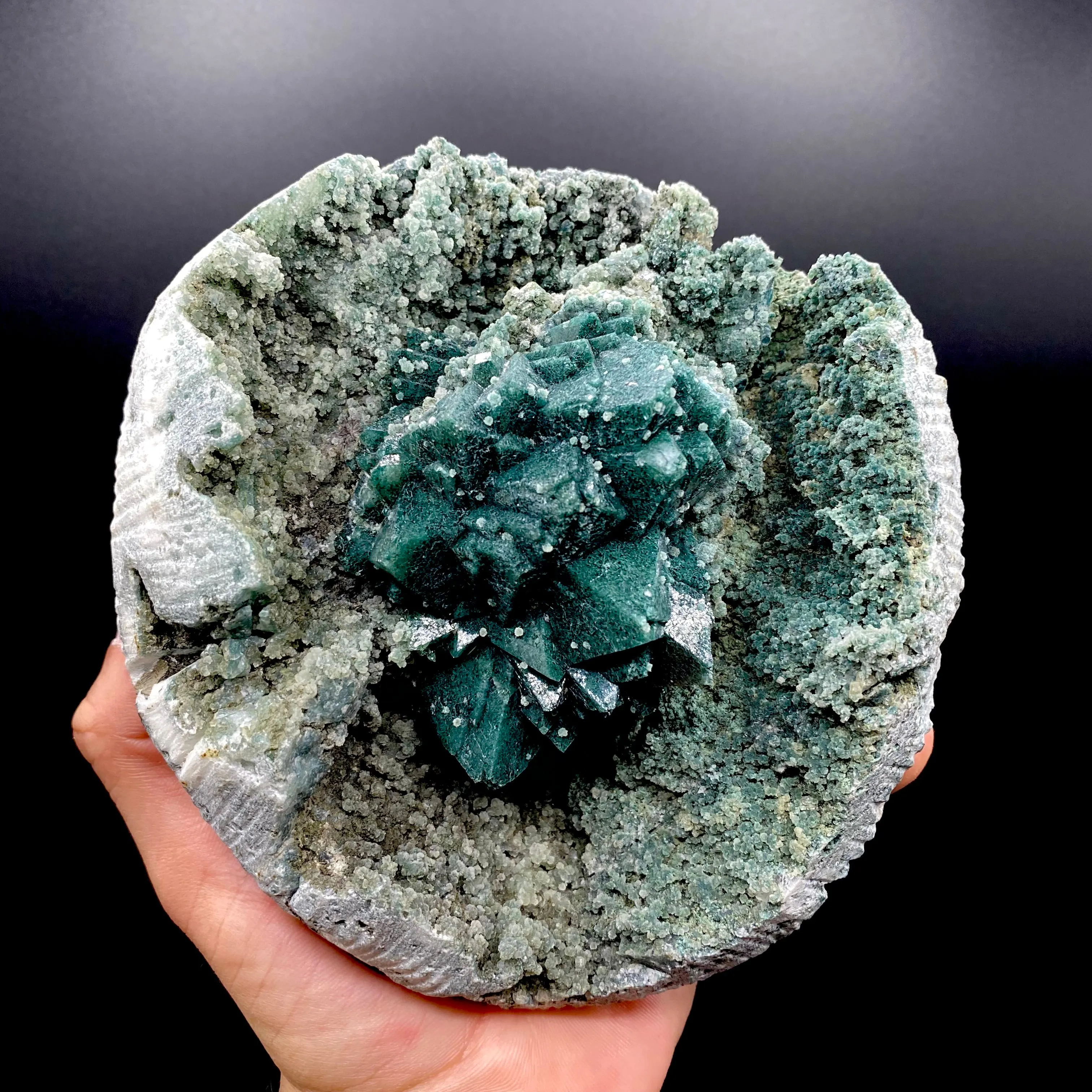 Brilliant Huge Marshy Green Apophyllite Flower with Celadonite & Chalcedony | Raw Indian Zeolite Mineral Specimen from Jalgaon DK131 - image 3