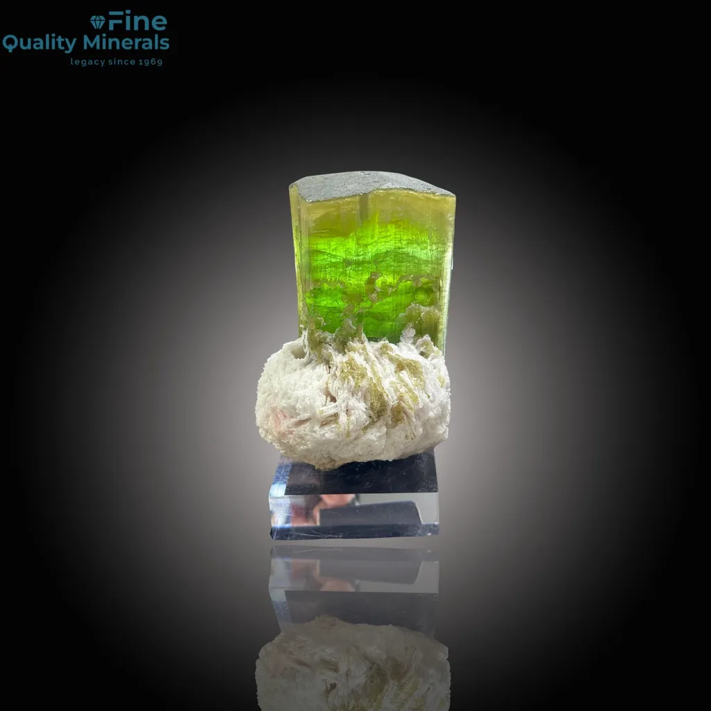 Brilliant Tourmaline on Pristine Cleavelandite – A Collector’s Gem image