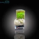 Brilliant Tourmaline on Pristine Cleavelandite – A Collector’s Gem - image 1