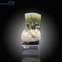 Brilliant Tourmaline on Pristine Cleavelandite – A Collector’s Gem - image 2