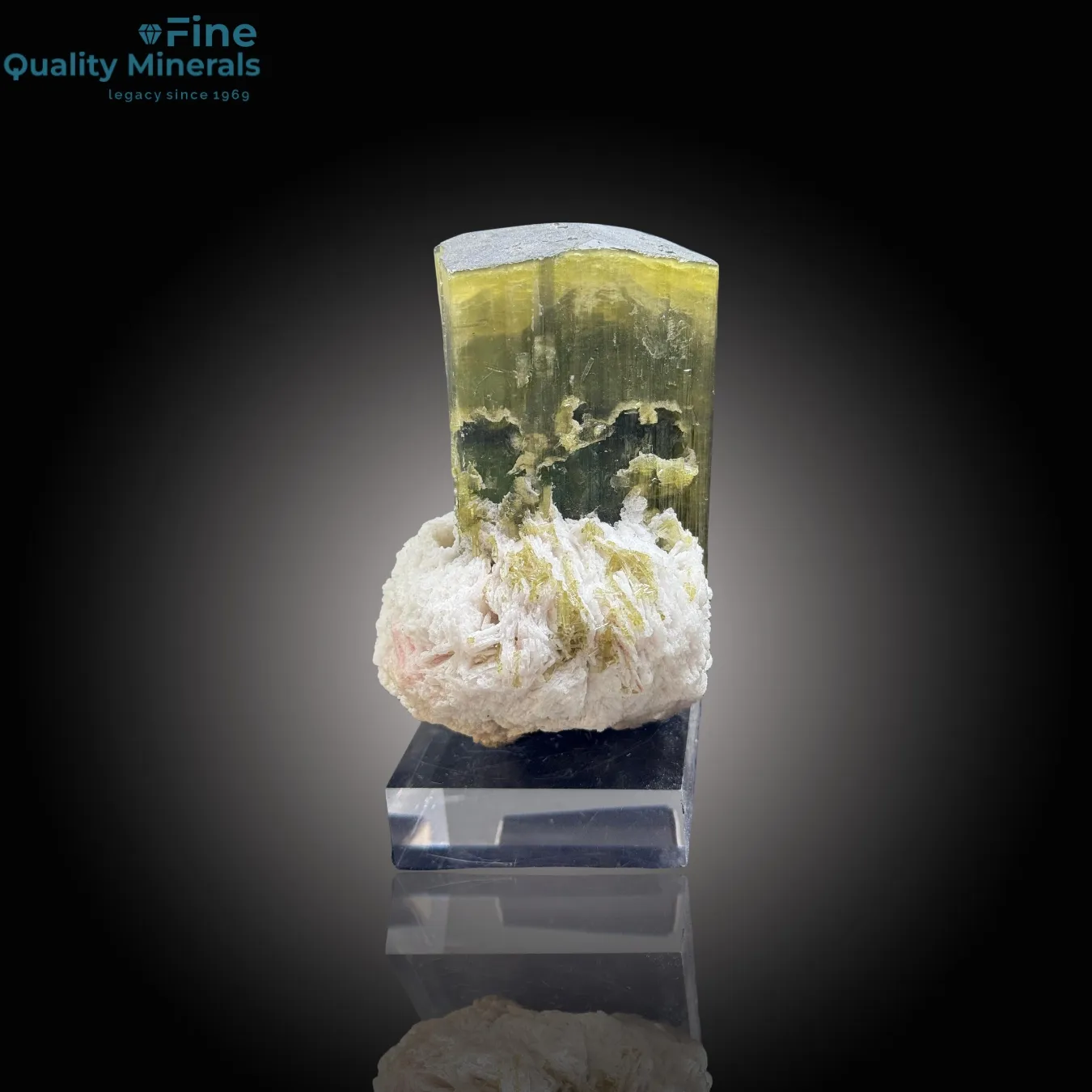 Brilliant Tourmaline on Pristine Cleavelandite – A Collector’s Gem - image 2