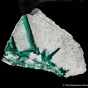 Brochantite (2 generations) - image 3