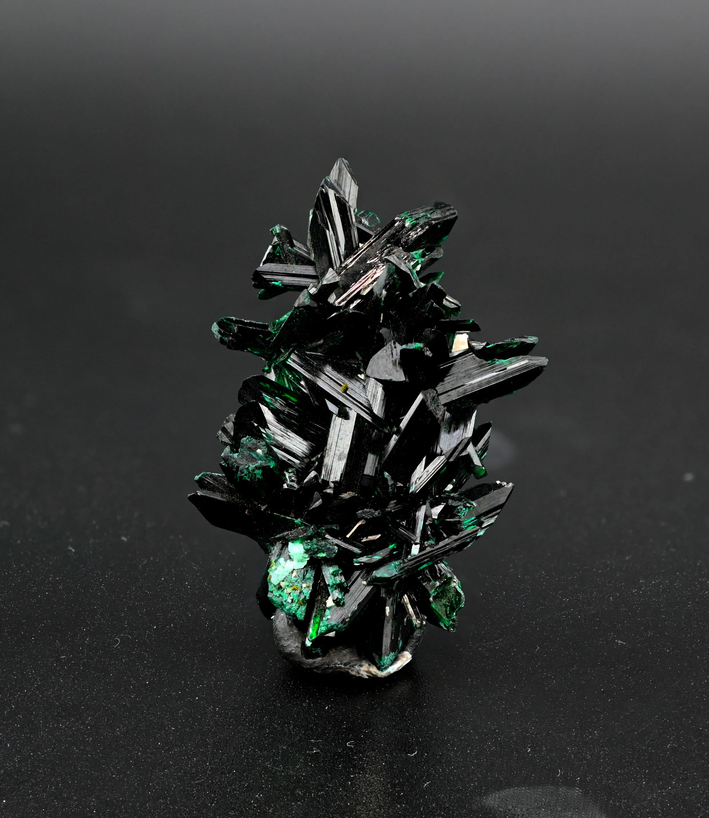 Brochantite from Mexico, Sonora, Milpillas, Milpillas Mine - image 1