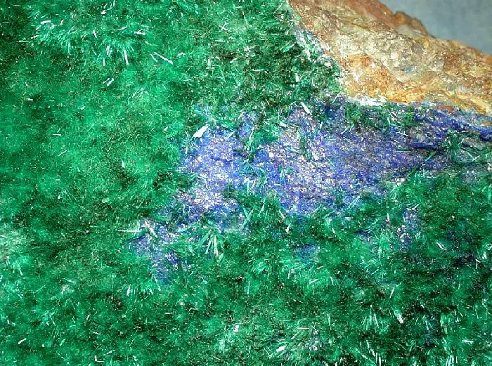 Brochantite, Linarite - image 2