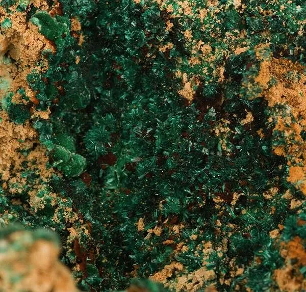 Brochantite, Malachite - image 2