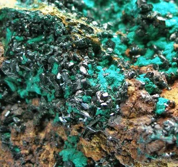 Brochantite, Malachite - image 2