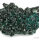 Brochantite on Chrysocolla - image 1