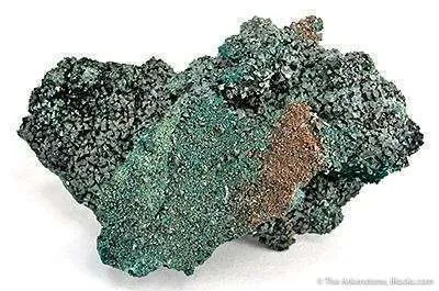 Brochantite on Chrysocolla - image 3
