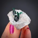 Brochantite on Dickite - image 2