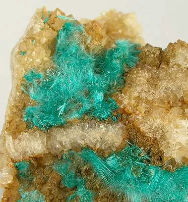 Brochantite, Quartz - image 2