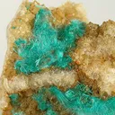 Brochantite, Quartz - image 2
