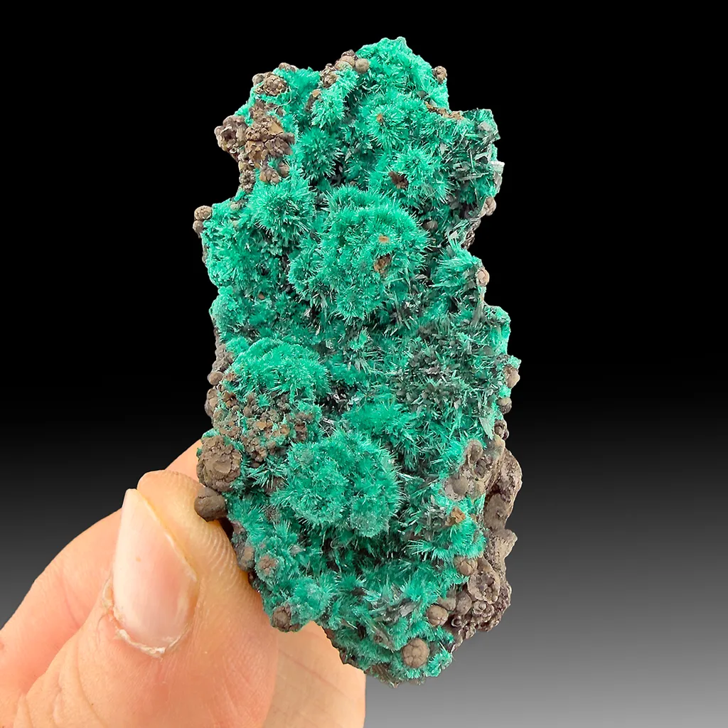 Brochantite with Atacamite - image 1