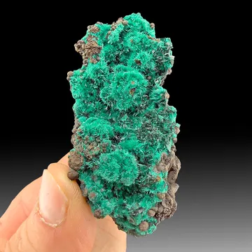 Brochantite with Atacamite