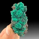 Brochantite with Atacamite - image 1