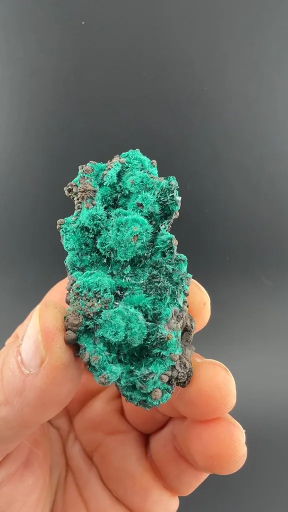 Brochantite with Atacamite - image 2