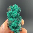 Brochantite with Atacamite - image 2