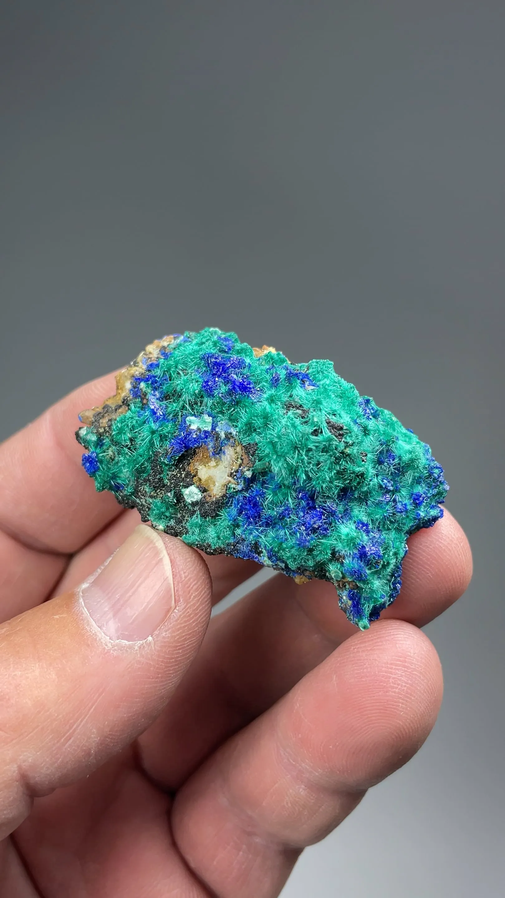 Brochantite with Linarite - image 2