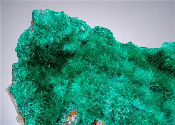 Brochantite with Linarite - image 1