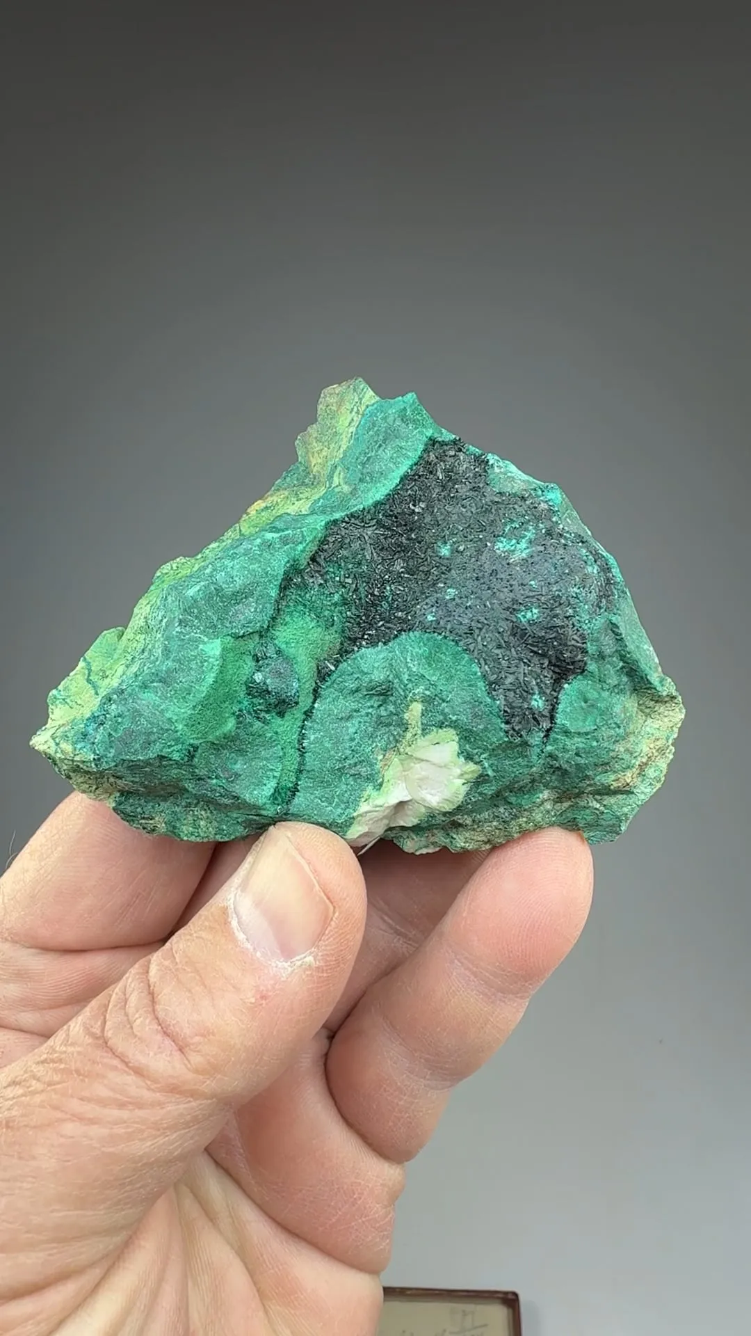 Brochantite with Malachite - image 2