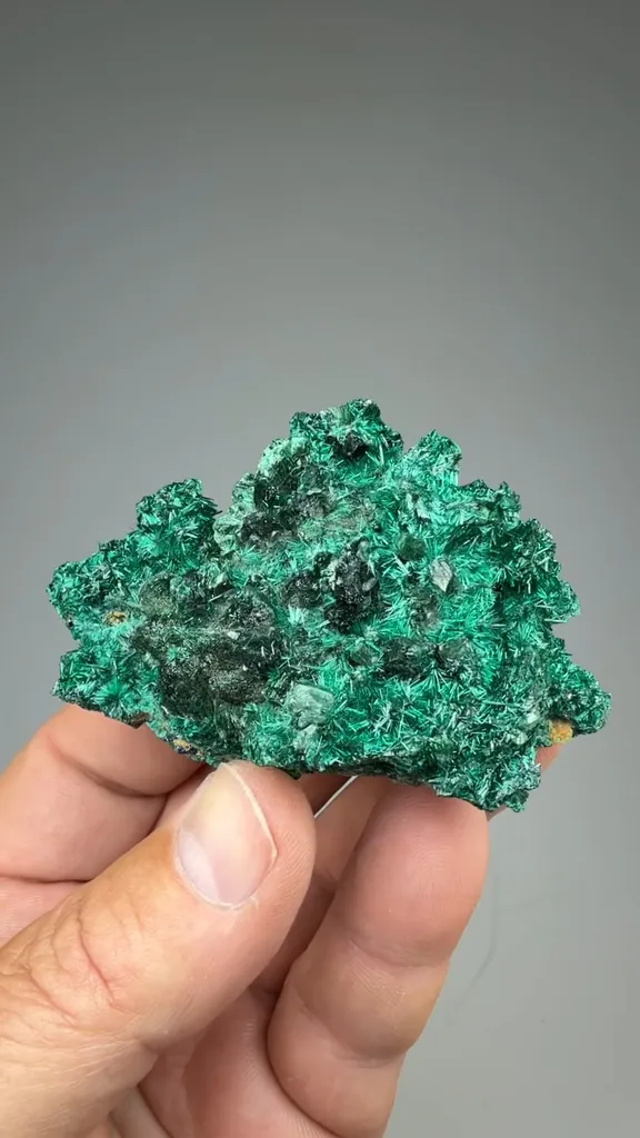 Brochantite with Malachite after Azurite image