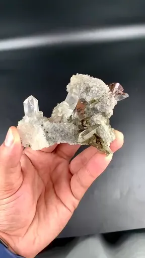 specimen video