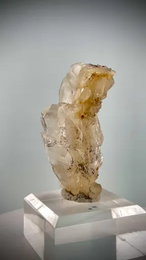 specimen video
