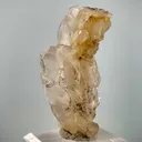 specimen video