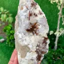 specimen video