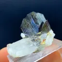 Brookite from Balochistan, Pakistan - image 3