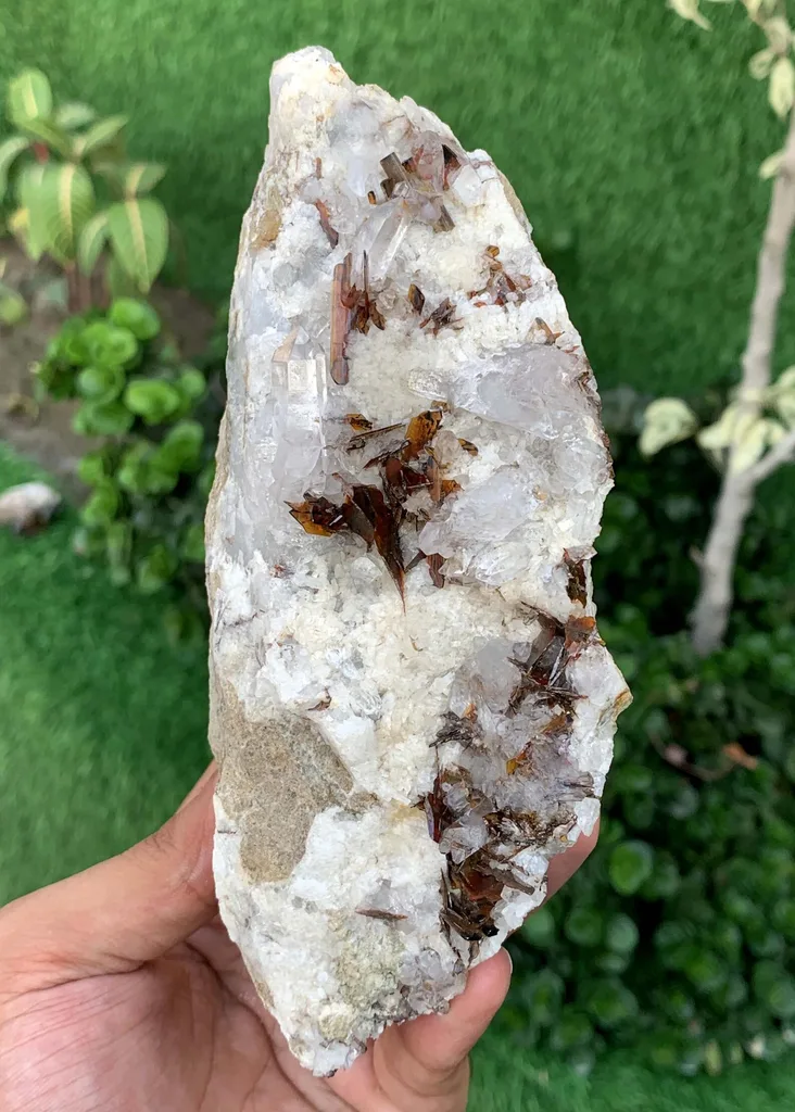 Brookite from Balochistan, Pakistan - image 4