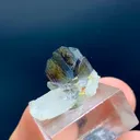 specimen video