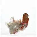 specimen video