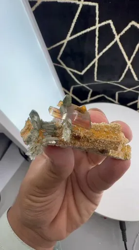 specimen video