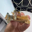specimen video