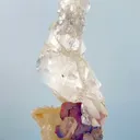 specimen video