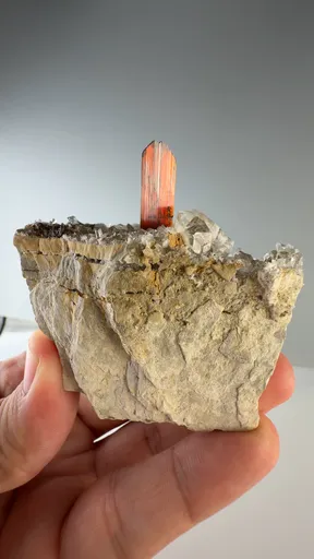 specimen video
