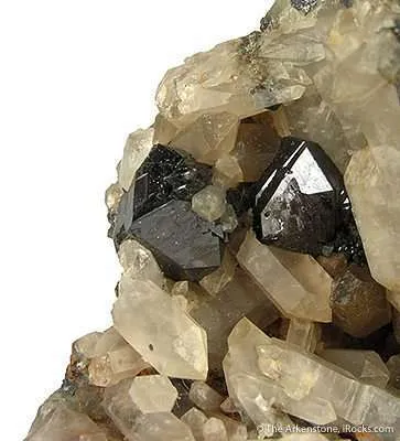 Brookite on Quartz - image 2