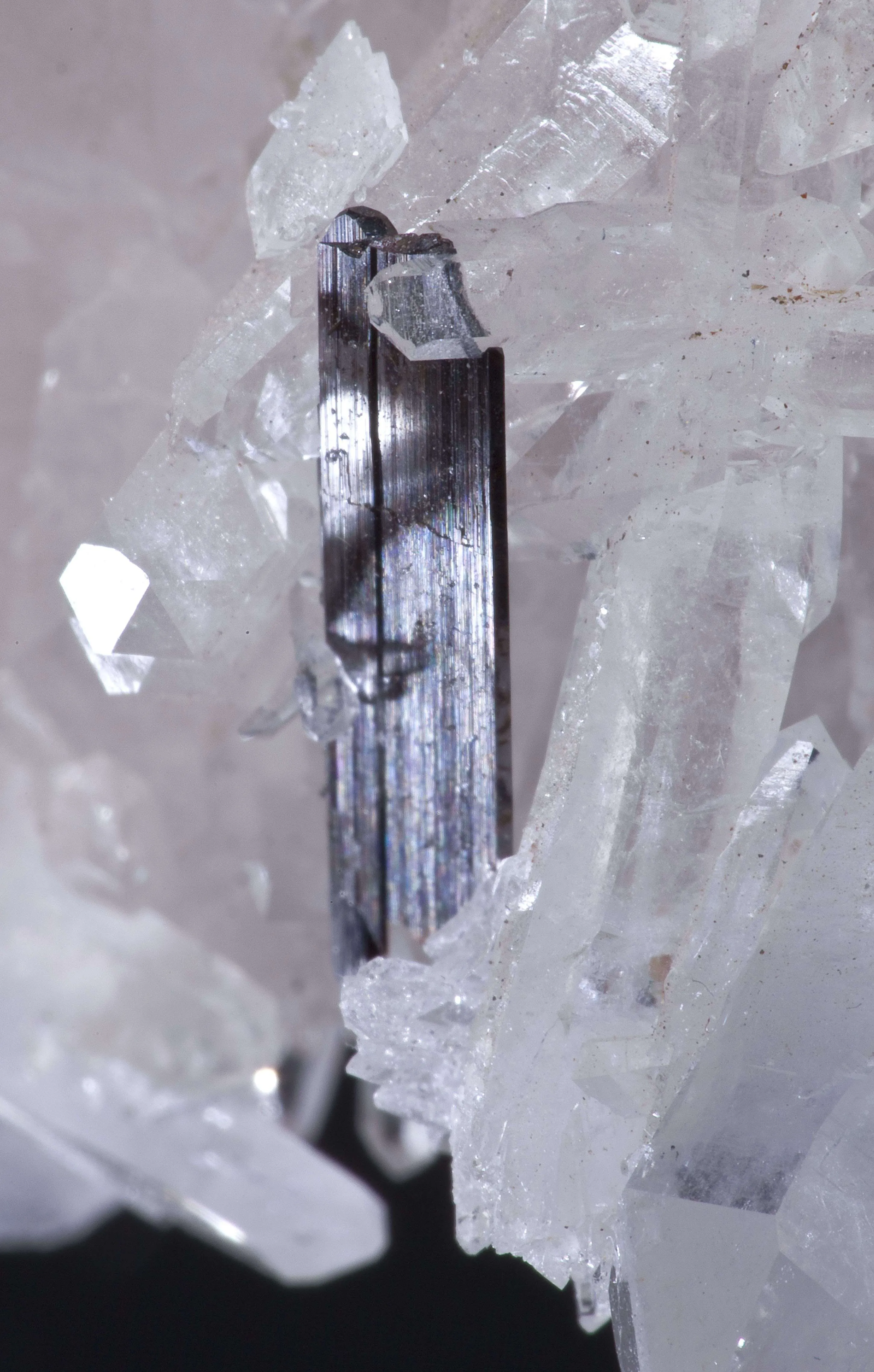 Brookite on Quartz (Rare Locale) - image 4