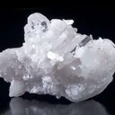 Brookite on Quartz (Rare Locale) - image 2