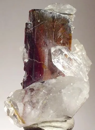 Brookite, Quartz - image 1