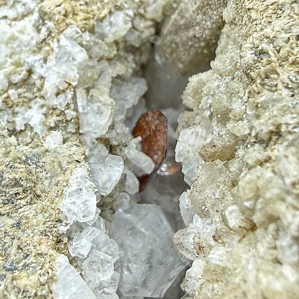 Brookite with Albite, Quartz image