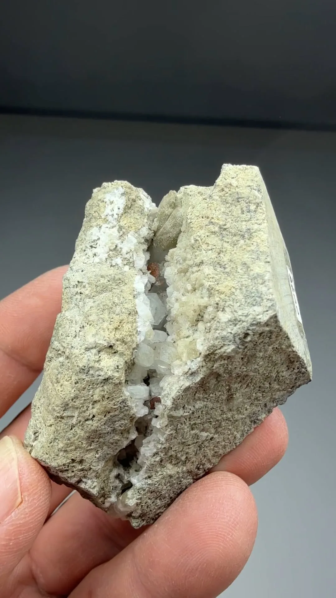 Brookite with Albite, Quartz - image 2