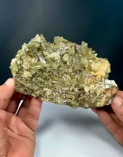 specimen video